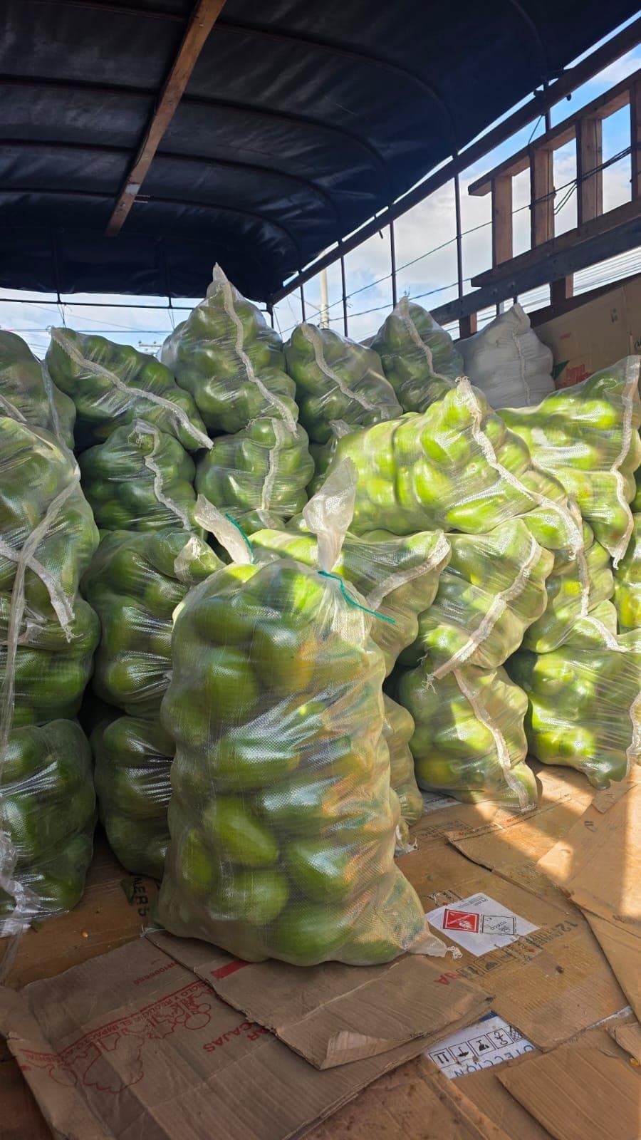 Aguacate sobre camión