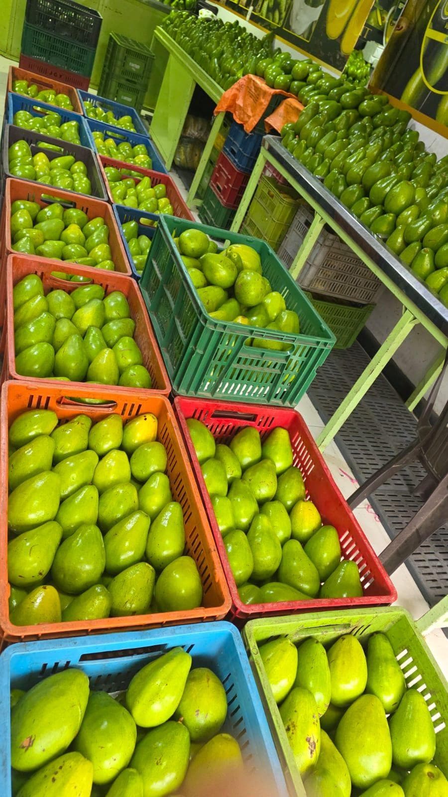 Plátano